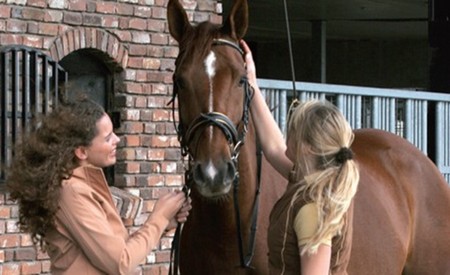 Voor het paard Voor het paard